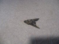 IMG_2101.jpg