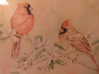 birds.jpg