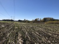 Field shot.JPEG Field shot.JPEG