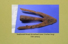 1400s Swallowtail.jpg