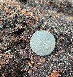 A dirt.jpg