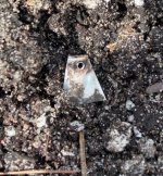 silver dirt2.jpg