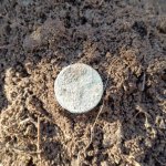 thumbnail (2).jpg