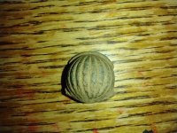 IMG_20230213_173022163.jpg