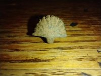 IMG_20230213_173053228.jpg