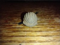 IMG_20230213_173117460.jpg