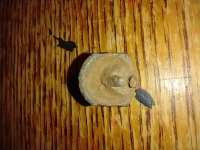 IMG_20230213_173144160.jpg