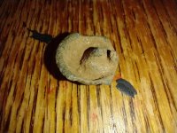 IMG_20230213_173210194.jpg