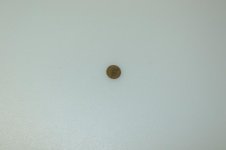 IMG_5677wheatie.jpg