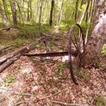thumbnail (9).jpg