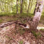 thumbnail (10).jpg