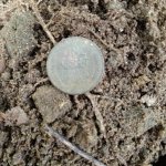 thumbnail (11).jpg
