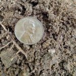 thumbnail (12).jpg