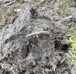 BB BARBER SOIL.jpg