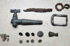 20260321 Pond Swamp finds.jpg