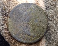 April liberty cap.jpg