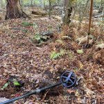 Site 5.jpg