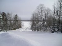 lakeview.jpg