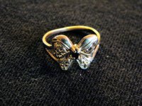 20110106_13.JPG