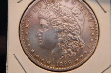 1888 Morgan 001.jpg