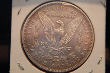 1888 Morgan 004.jpg