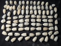 007Bullet field.jpg