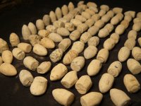 009Bullet field.jpg