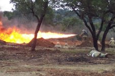 a Flamethrower [].jpg