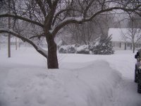 January 12 blizzard  2.JPG