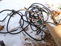 20110112_2.JPG