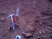 !cid__0722082011.jpg