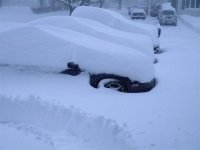 snow1.jpg