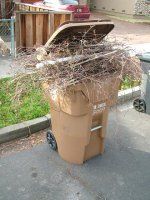 Tree Trimming 017 AD Ready.JPG