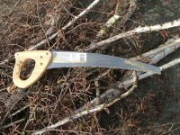 Tree Trimming 010 AD Ready.JPG