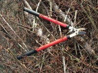 Tree Trimming 012 AD Ready.JPG