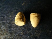 005Bullets in Union City.jpg