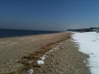 IMG_0243.jpg