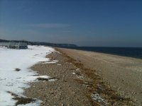 IMG_0244.jpg