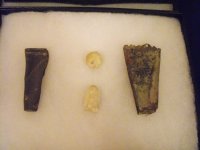 Two Scabbard Tips.jpg