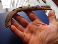 Weapon Made From Horseshoe.jpg