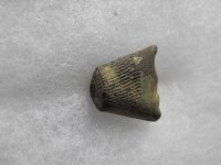Thimble.jpg