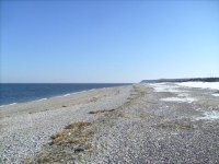 S7301185.JPG