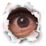 eyeball.gif