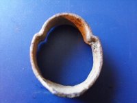 Einfeild Barrel Band.jpg