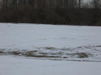IMG_2148.JPG