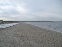 S7301204.JPG