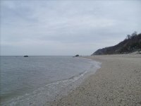 S7301209.JPG
