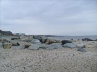 S7301211.JPG