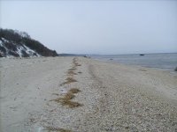 S7301216.JPG