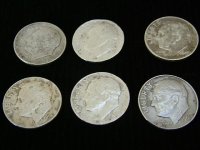 Silver Rosey 050 AD.JPG